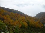 P1010427.JPG