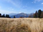 DSCF1490.JPG