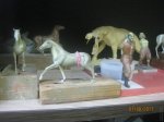 IMG_9053.JPG