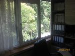 IMG_9049.JPG