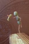 IMG_20180308_174910.jpg