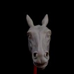 horse_04_27_1.jpg