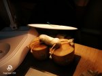 IMG_20200427_210843.jpg