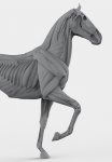 Horse_keyshot_05.jpg